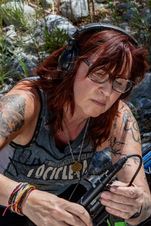 Cover image for Paula Fairfield