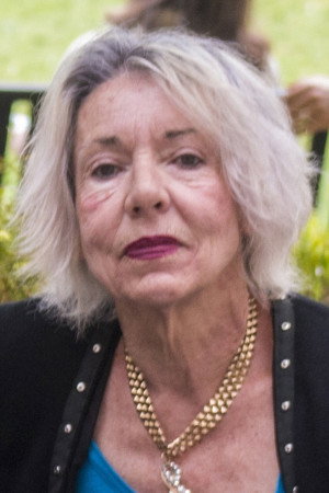 Cover image for Susan Lowe
