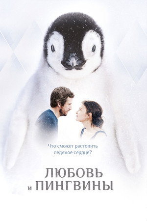 Poster for Любовь и пингвины