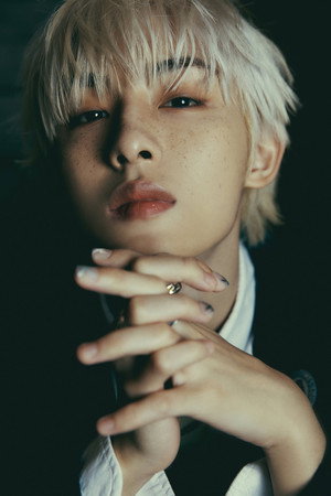 Cover image for 윈윈