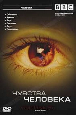 Poster for Чувства человека