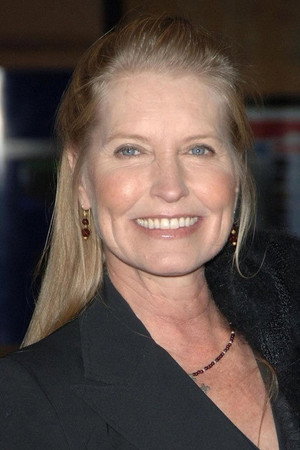 Cover image for Lisa Niemi