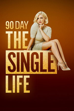 Poster for 90 дней: холостяцкая жизнь