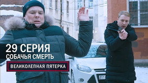 Poster for Собачья смерть