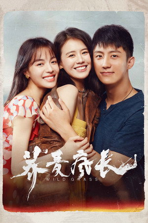 Poster for Дикие травы