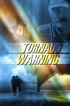 Poster for Идеальный торнадо