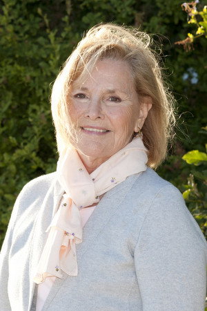 Cover image for Sandy Johnson
