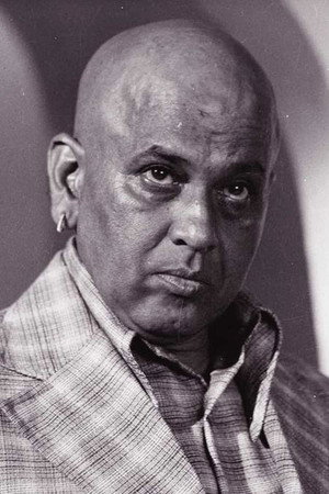 Cover image for M. B. Shetty