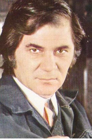 Cover image for Ion Besoiu
