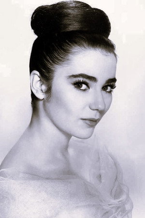 Cover image for Brigid Bazlen
