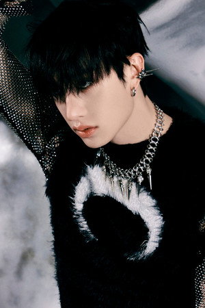 Cover image for Bang Chan