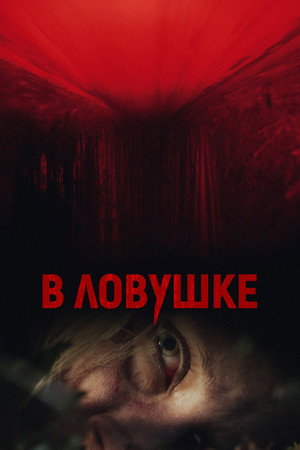 Poster for В ловушке