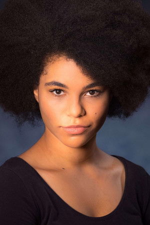 Cover image for Ebony Vagulans