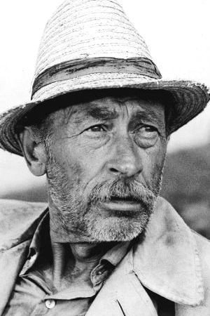 Cover image for Bánhidi László