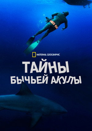 Poster for Тайны бычьей акулы