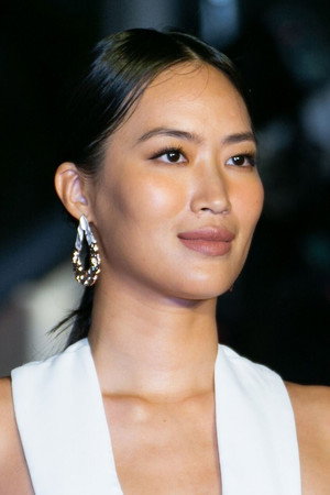 Cover image for Evelyn Yu-Tong Cheng