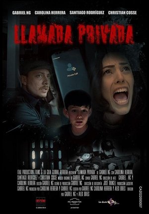 Poster for Частный звонок