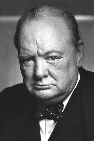Cover image for Winston Churchill