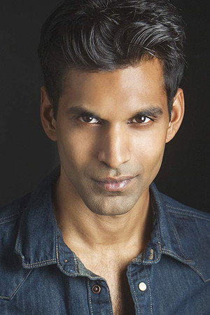 Cover image for Vick Krishna