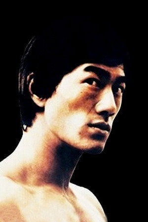 Cover image for Ho Tsung-Tao