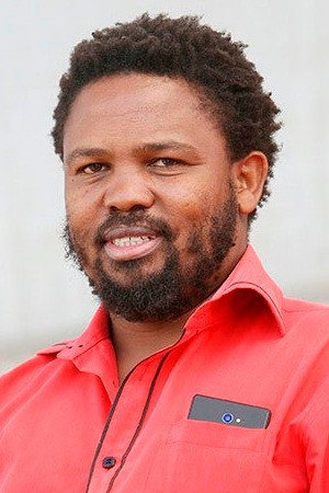 Cover image for Andile Mngxitama