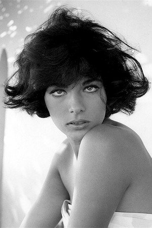 Cover image for Marilù Tolo
