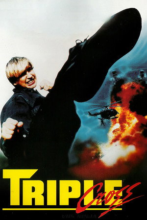 Poster for Angel Of Fury