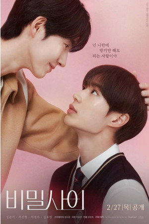Poster for Secret Relationships