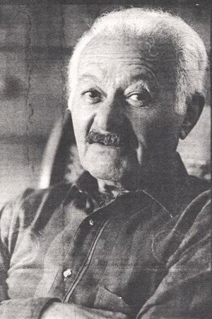 Cover image for Bernie Hern