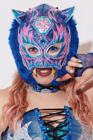 Cover image for Starlight Kid