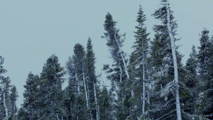 Poster for Эпизод 8