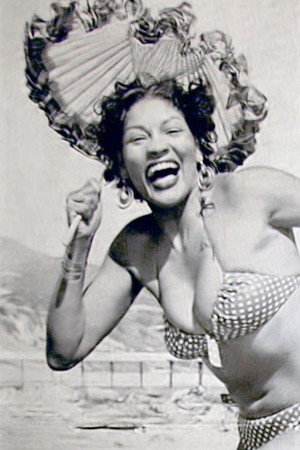 Cover image for Suzette Harbin