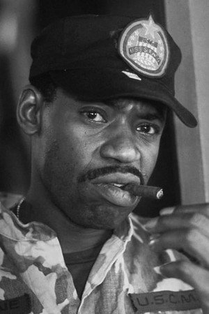 Cover image for Al Matthews