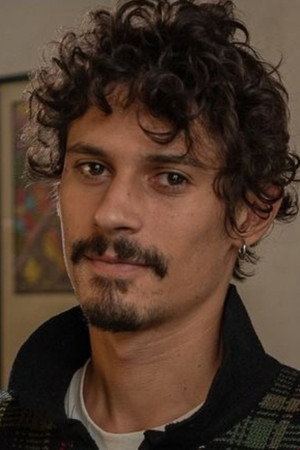 Cover image for Américo Hollander