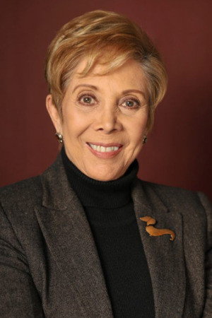 Cover image for Consuelo Luzardo