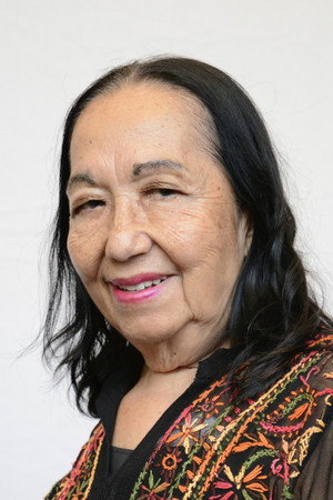 Cover image for María Elena Olivares