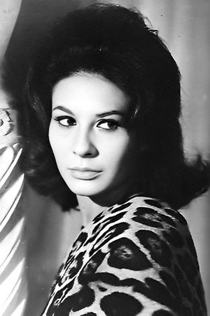 Cover image for Franca Bettoia