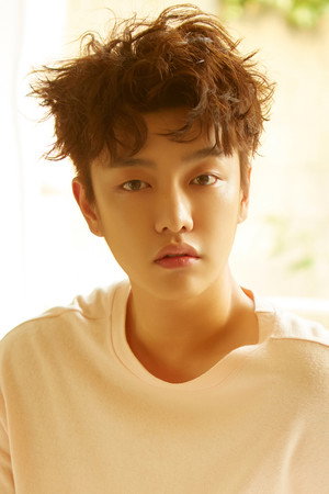 Cover image for Shin Won-ho