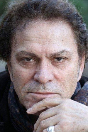 Cover image for Timo Flloko