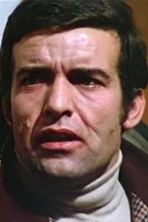 Cover image for Vittorio Sancisi