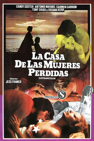 Poster for The House of Lost Women