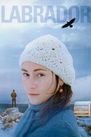 Poster for Лабрадор