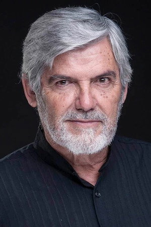 Cover image for Antonio Mayans
