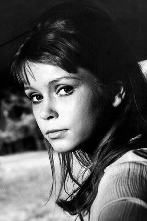 Cover image for Neda Arnerić