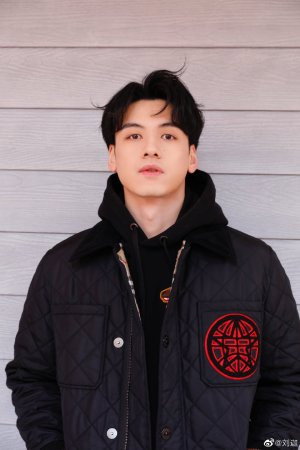 Cover image for Liu Jia