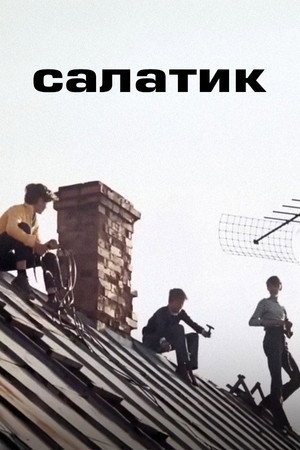 Poster for Салатик