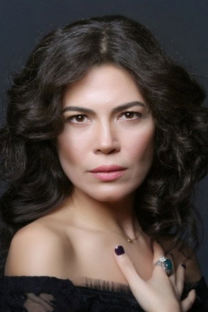 Cover image for Demet Erdem