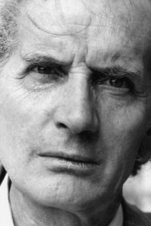 Cover image for Fernando Cerulli