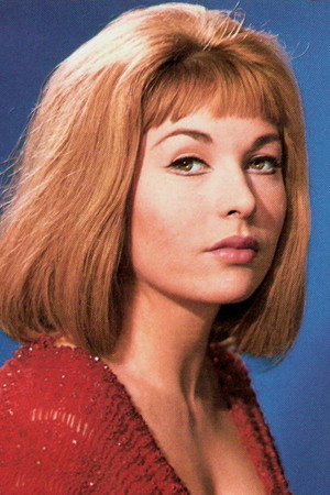 Cover image for Liliane Brousse