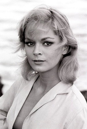 Cover image for Letícia Román